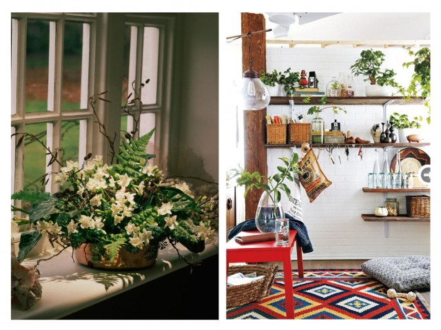 Бохо-стиль: как украсить дом с помощью растений
