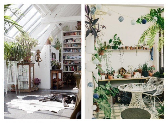 Бохо-стиль: как украсить дом с помощью растений