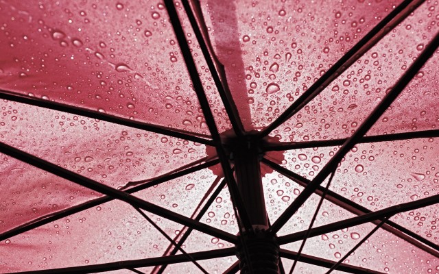 Выбираем новый зонт: на что обращать внимание