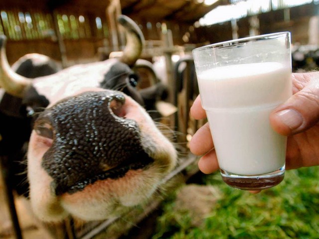 ​Проверяем качество молока: простые рекомендации