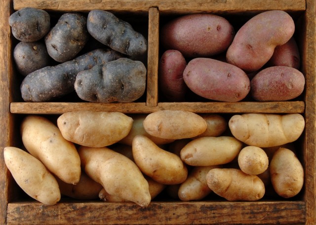 Правила зимнего хранения картошки: в доме и в квартире