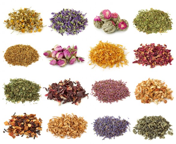 12 травяных чаев, которые подарят вам богатырское здоровье