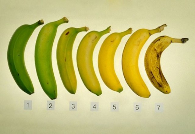 Какие бананы нужно кушать - зеленые или с темными точками