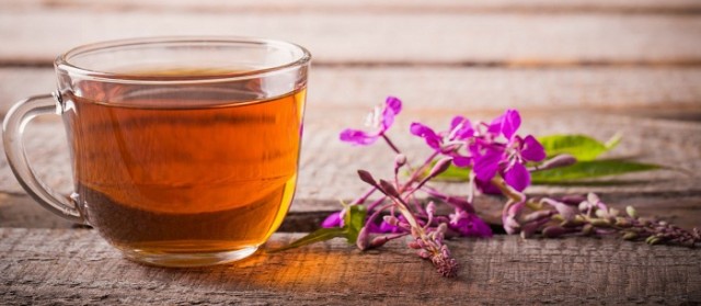 Иван-чай для вашего здоровья — как собирать, сушить и правильно заваривать