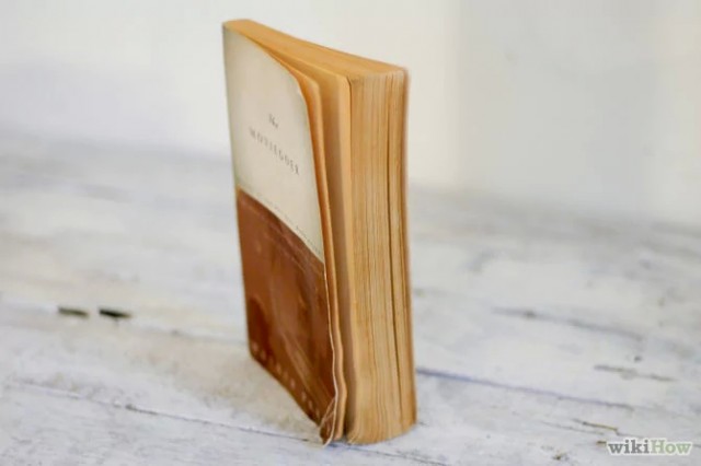 Как убрать неприятный запах старых книг? Как убрать неприятный запах старых книг?