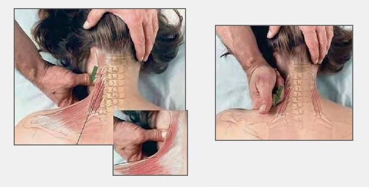 ​Как делать массаж: 7 картинок для понимания смысла движений рук