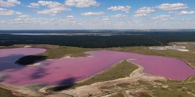 Солёные озера России, где можно отдохнуть и поправить здоровье: озёра в Сибири