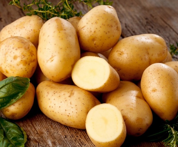Проверка картофеля на нитраты