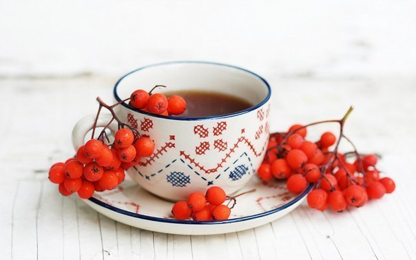 ​Витаминный чай с рябиной для кишечника, для почек и от гриппа