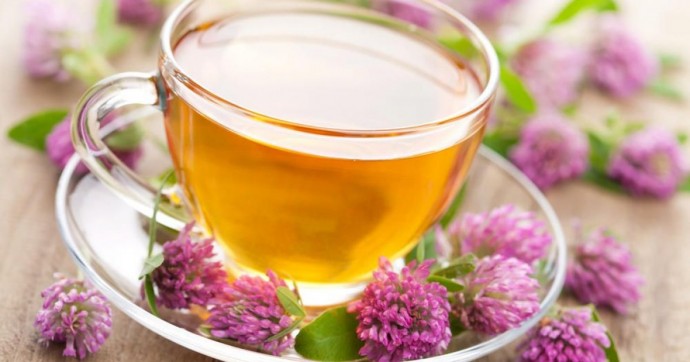 ​14 целебных добавок к чаю для вашего здоровья