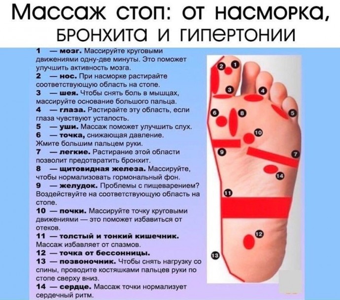 Массаж стоп: профилактика насморка, бронхита, гипертонии Массаж стоп: профилактика насморка, бронхита, гипертонии