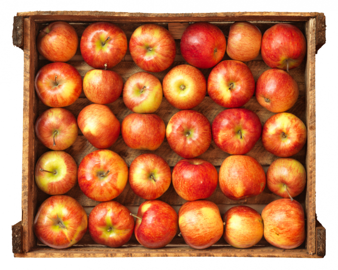 ​4 правила хранения яблок