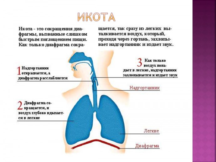 ​Приёмы, которые помогут избавиться от икоты