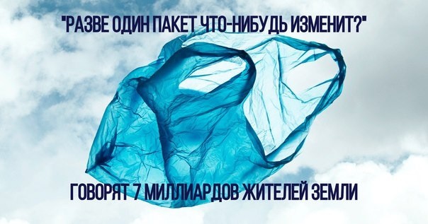​Чем экологично заменить пластиковые пакеты и зачем