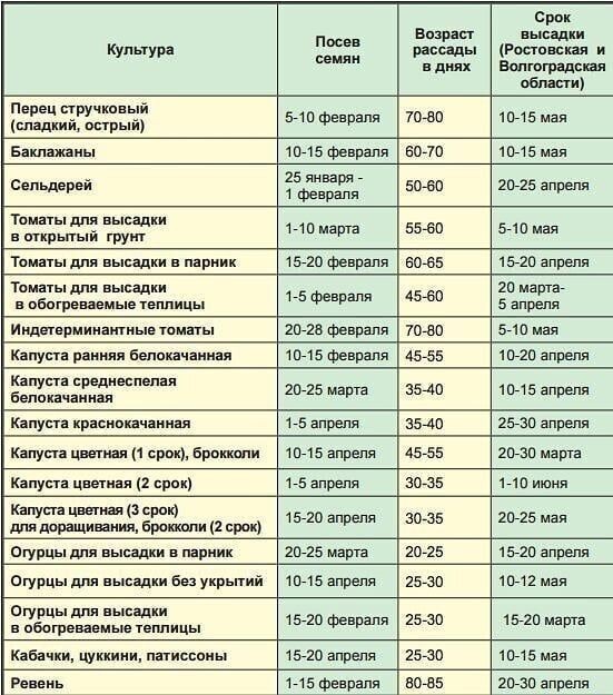 Когда сажать рассаду в 2020 году Когда сажать рассаду в 2020 году