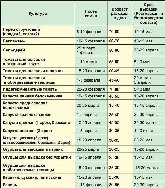 ​Когда сажать рассаду в 2020 году