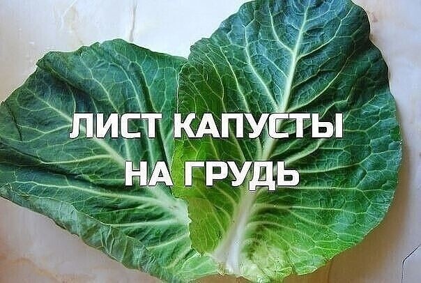 ​Лист капусты на грудь