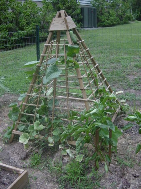 Строим пирамиду для лучшего урожая огурцов