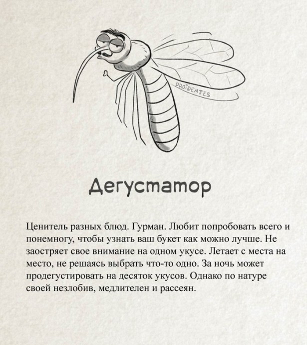 ​Как научиться разбираться в комарах