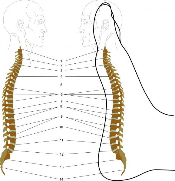 ​Как сделать массаж стоп, способствующий снятию болей в спине