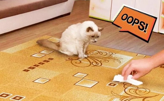 Сода от кошачьих меток Сода от кошачьих меток