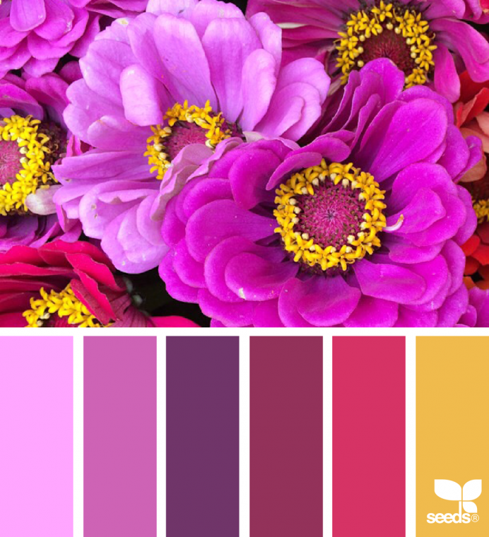 Яркие и сочные сочетания цветов
