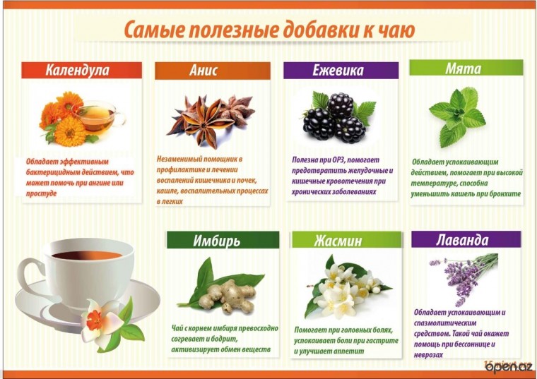 Как действуют разные виды чая