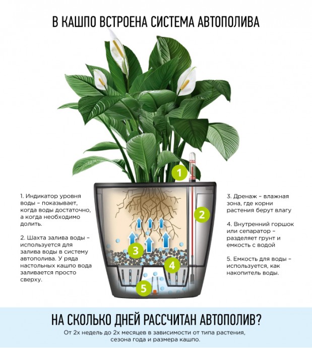 ​Автоматический полив для комнатных растений организовываем простым способом