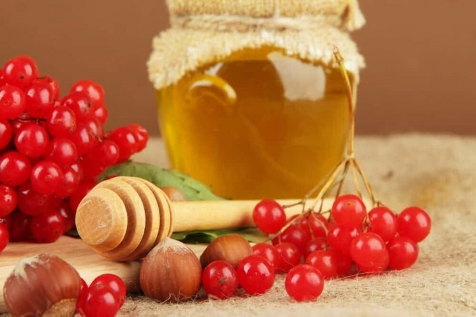 ​Калина с медом: самое вкусное и эффективное лекарство от простуды
