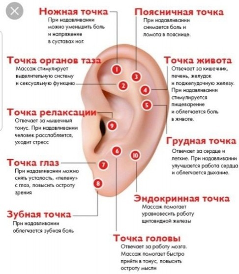 Точки на ушах, которые помогут снять боль и быть здоровым