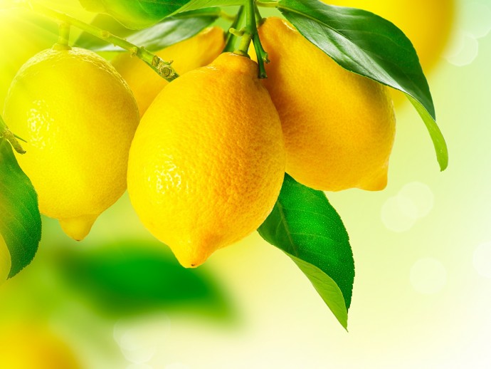 ​9 способов очистить организм с помощью лимона
