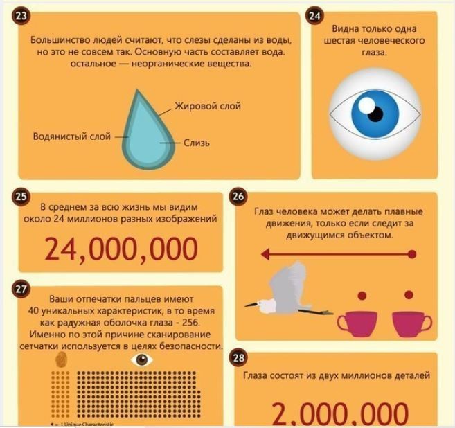 Что стоит знать про глаза