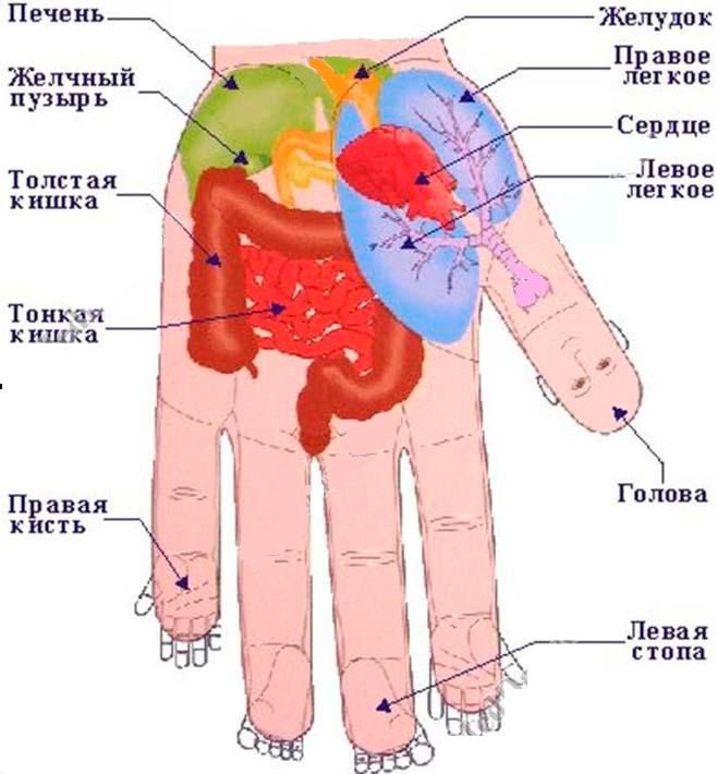 Как определить заболевание по состоянию рук