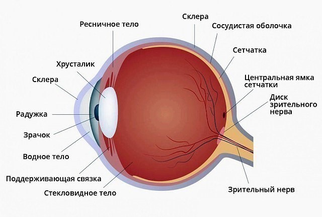 ​Как вернуть зрение без операции