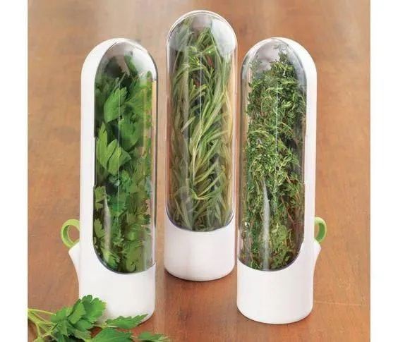 Как хранить зелень 2 недели, чтобы она не желтела Как хранить зелень 2 недели, чтобы она не желтела