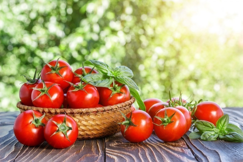 Народный метод для усиления роста и урожайности томатов
