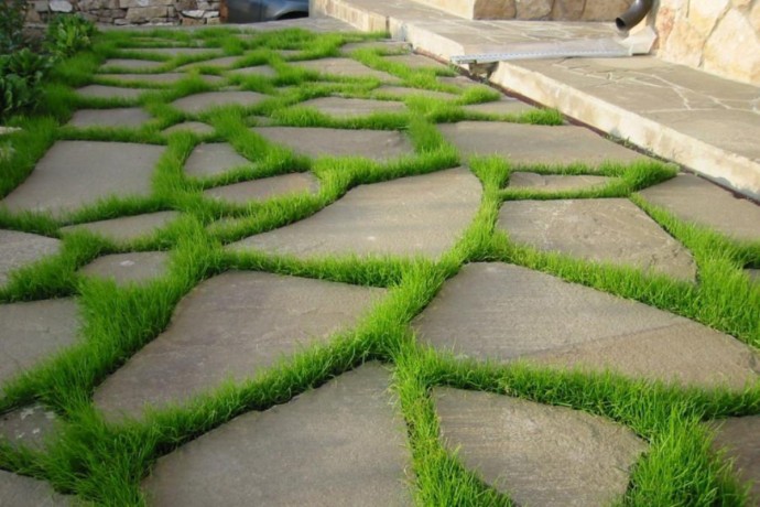 ​Трава между плит дорожки