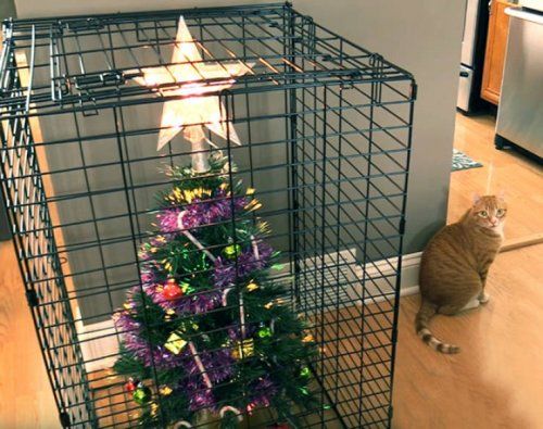 Как защитить новогоднюю елку от домашних животных
