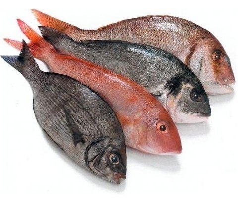 Полезные советы для рыбных блюд