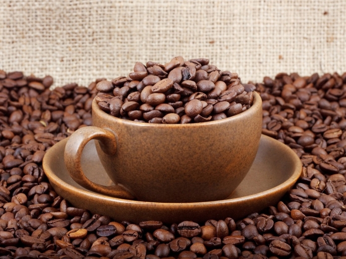 Если у вас есть зерновой кофе, но нет кофемолки и кофеварки