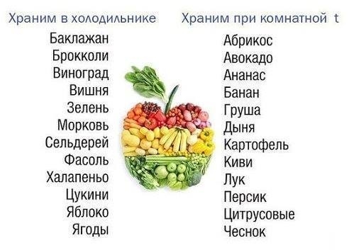 Где нужно хранить овощи и фрукты, чтобы они не потеряли свою свежесть и пользу