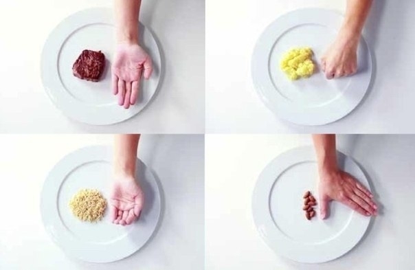 Как определять правильный размер порций еды при помощи правила рук