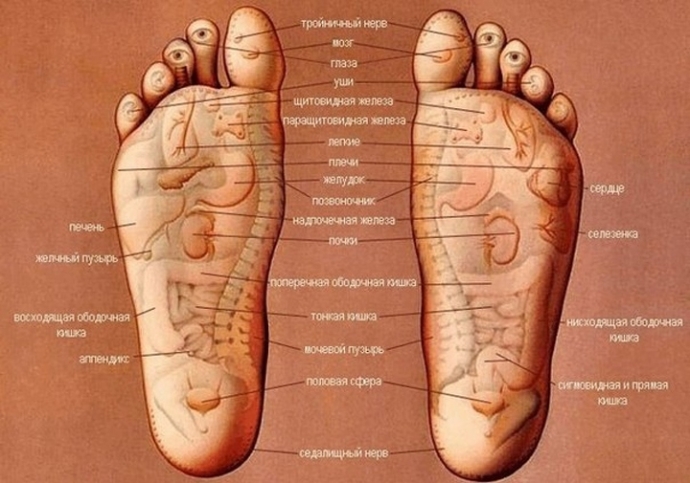 Схема массажа стоп