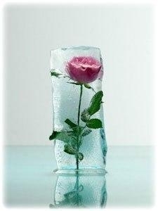 Как сделать ледяную розу