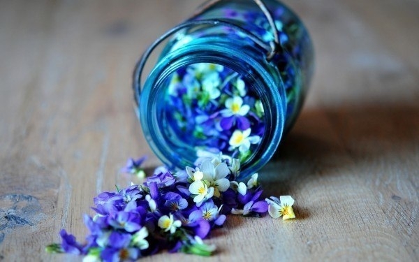 Как создать потрясающий цветочный запах в комнате
