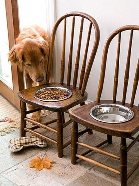 Столик для питания собак из ненужных стульев