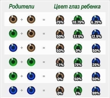 Глаза какого цвета будут у вашего ребенка