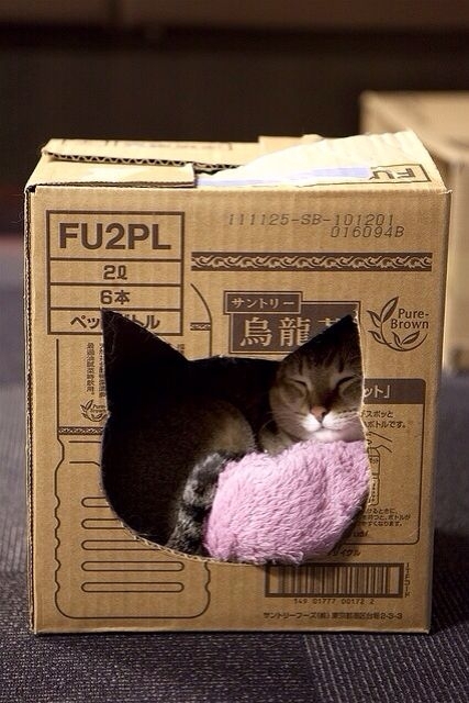 Домик для кота - истинного ценителя картонных коробок.