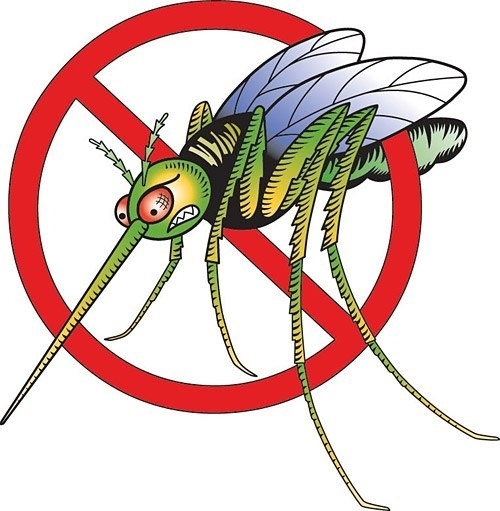 Способы избавиться от комаров