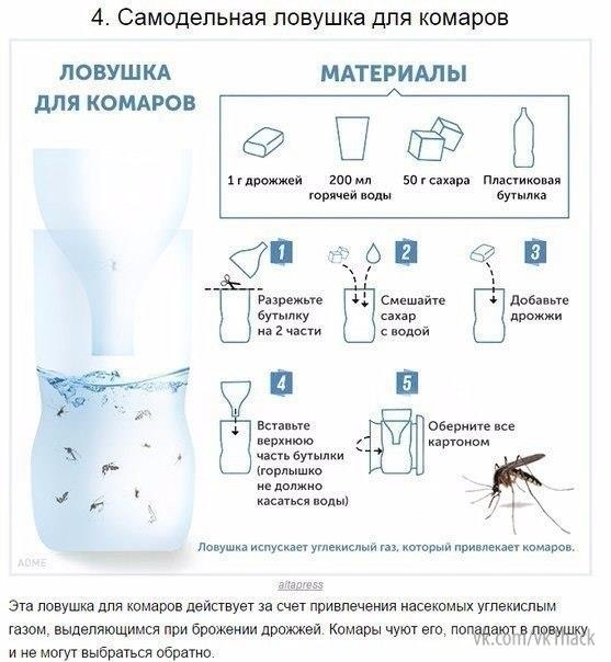 10 способов борьбы с комарами и их укусами